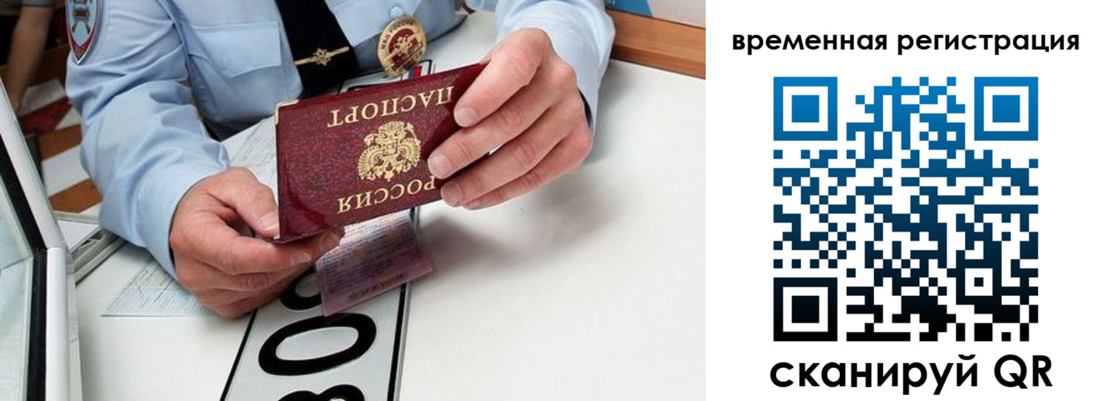 прописка гарантия в Светогорске